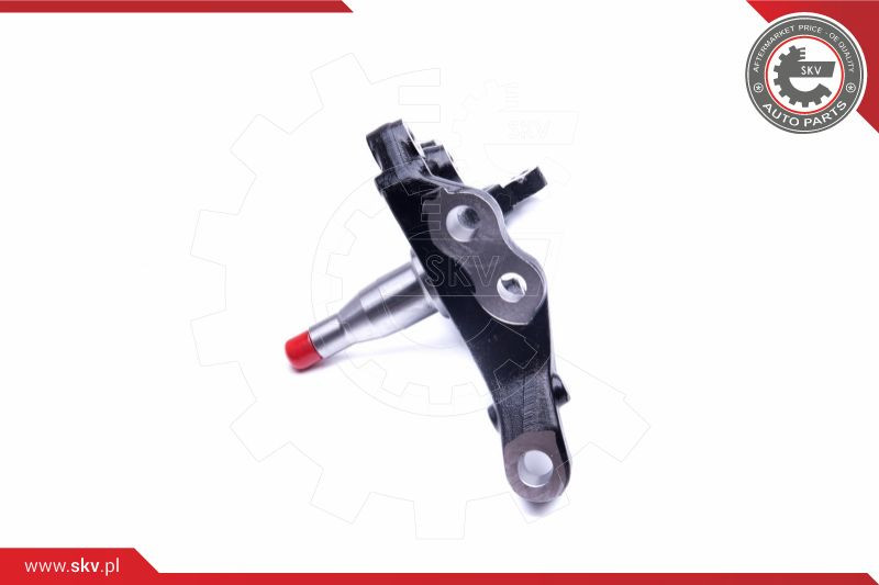 ESEN SKV Achsschenkel, Radaufhängung