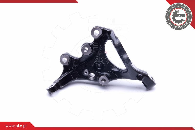 ESEN SKV Achsschenkel, Radaufhängung