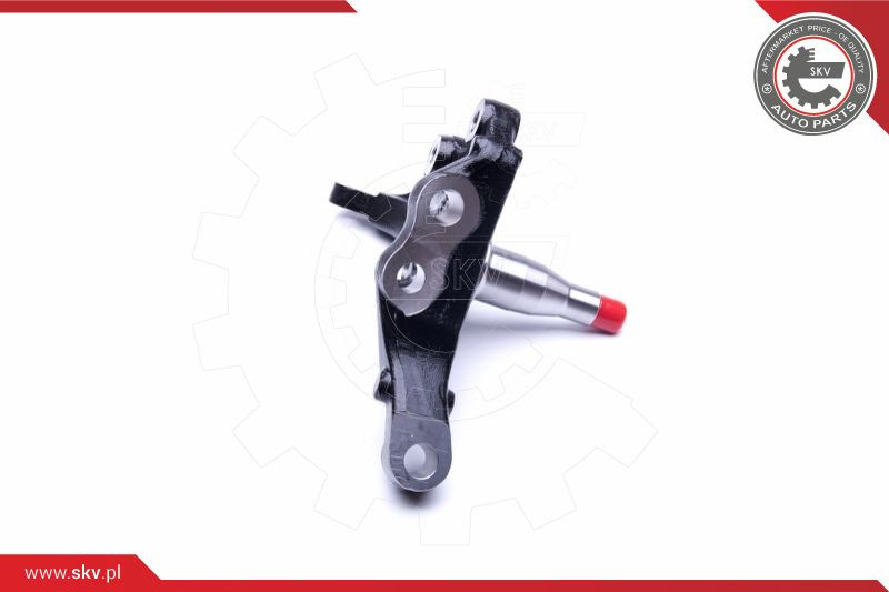 ESEN SKV Achsschenkel, Radaufhängung