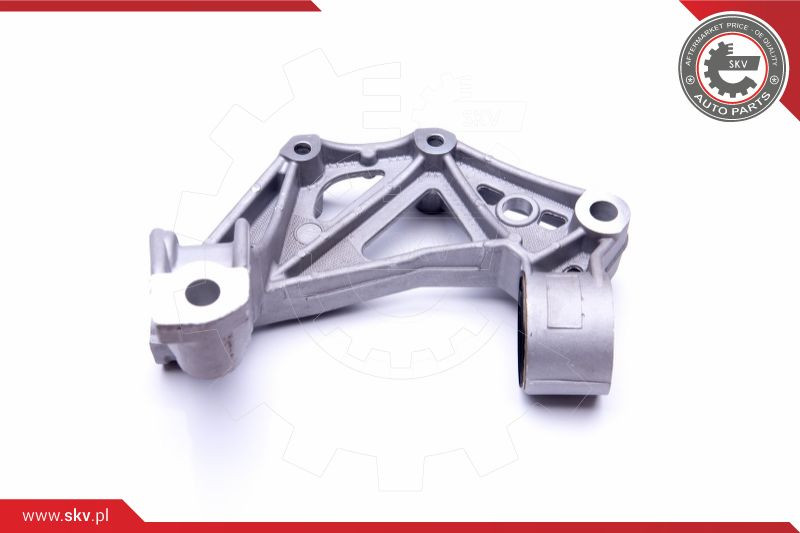 ESEN SKV Achsschenkel, Radaufhängung