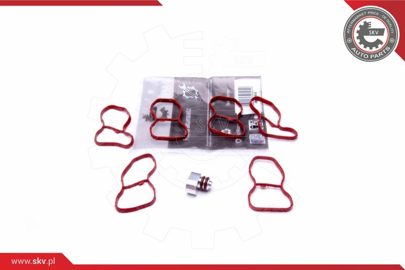 ESEN SKV Reparatursatz, Saugrohrmodul