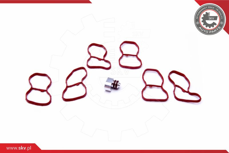 ESEN SKV Reparatursatz, Saugrohrmodul