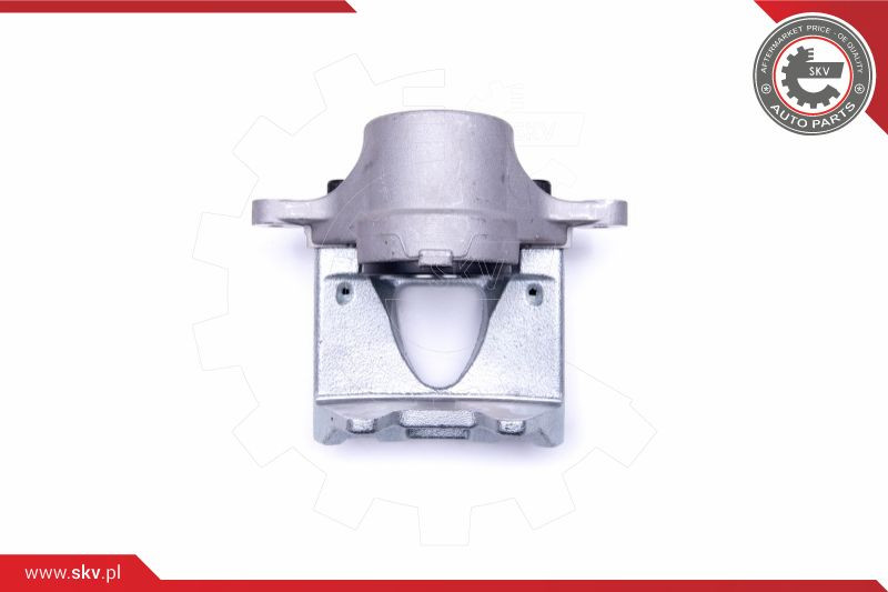 ESEN SKV Bremssattel