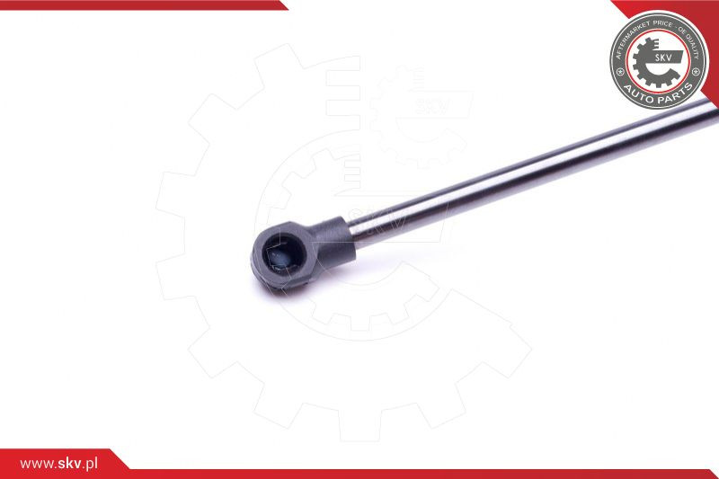 ESEN SKV Gasfeder, Koffer-/Laderaum