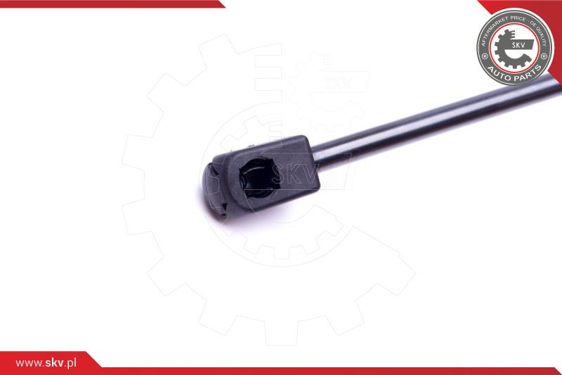 ESEN SKV Gasfeder, Koffer-/Laderaum