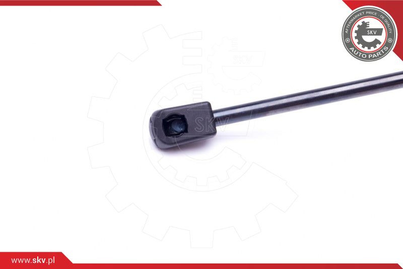 ESEN SKV Gasfeder, Koffer-/Laderaum