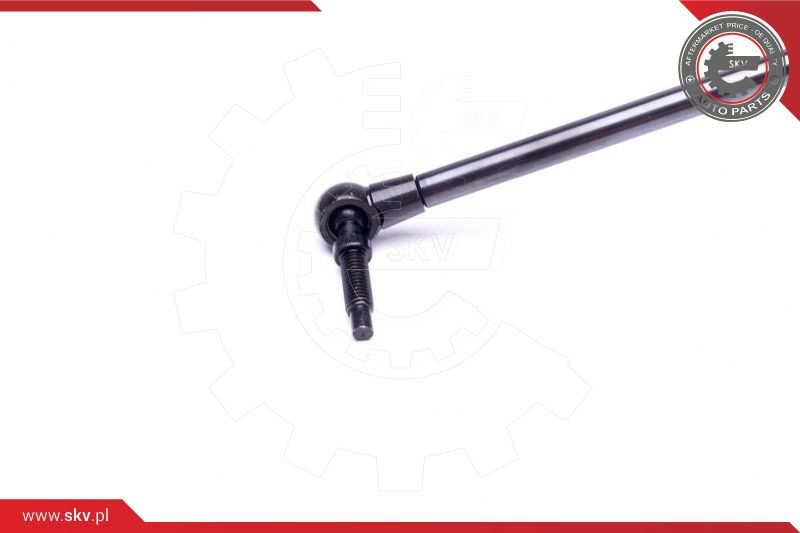 ESEN SKV Gasfeder, Koffer-/Laderaum