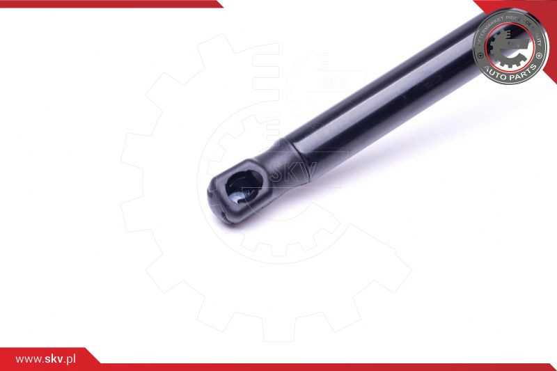 ESEN SKV Gasfeder, Koffer-/Laderaum