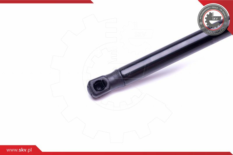 ESEN SKV Gasfeder, Koffer-/Laderaum