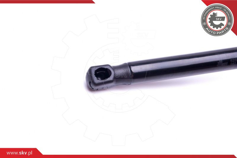 ESEN SKV Gasfeder, Koffer-/Laderaum