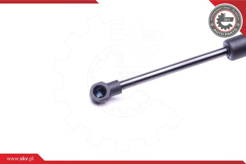 ESEN SKV Gasfeder, Koffer-/Laderaum