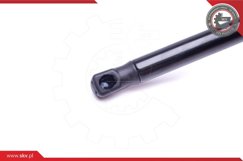 ESEN SKV Gasfeder, Koffer-/Laderaum