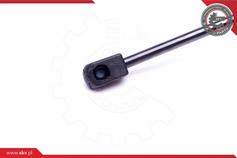 ESEN SKV Gasfeder, Koffer-/Laderaum