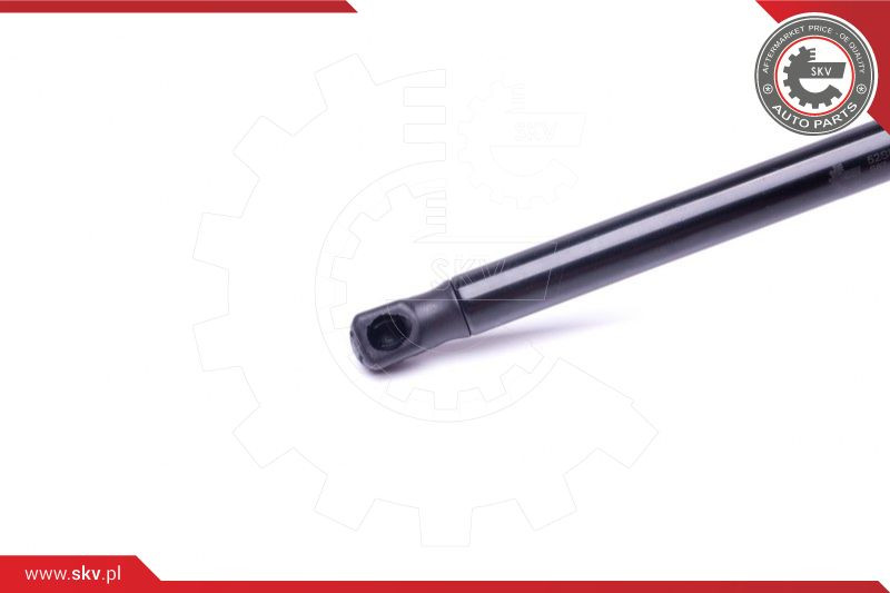 ESEN SKV Gasfeder, Koffer-/Laderaum