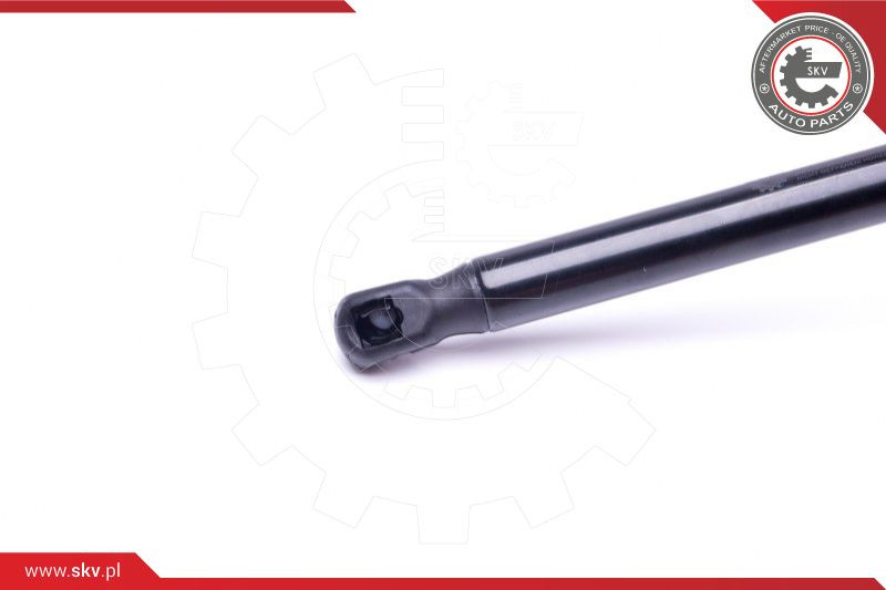 ESEN SKV Gasfeder, Koffer-/Laderaum