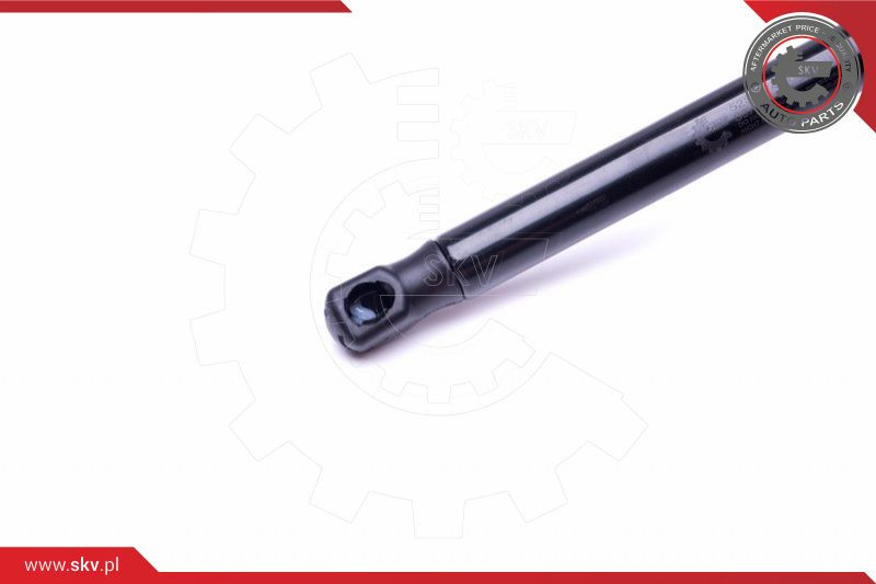 ESEN SKV Gasfeder, Koffer-/Laderaum