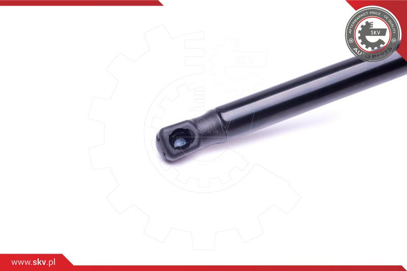 ESEN SKV Gasfeder, Koffer-/Laderaum