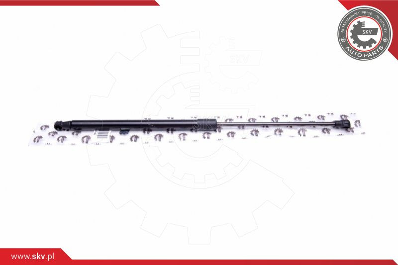 ESEN SKV Gasfeder, Koffer-/Laderaum