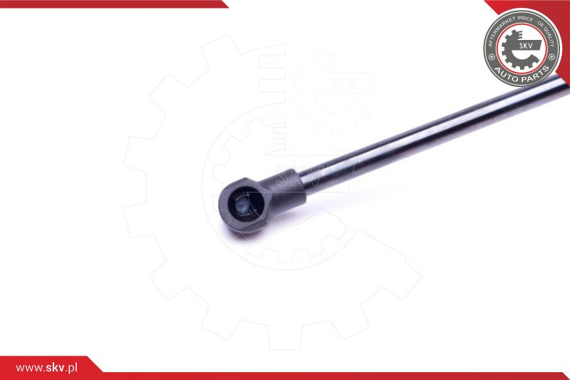 ESEN SKV Gasfeder, Koffer-/Laderaum