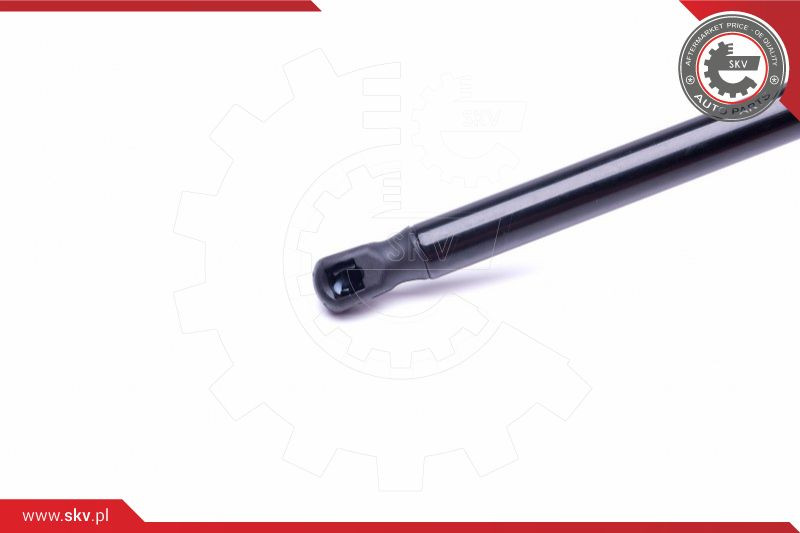 ESEN SKV Gasfeder, Koffer-/Laderaum