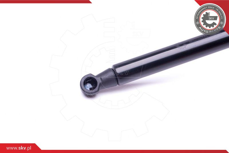 ESEN SKV Gasfeder, Koffer-/Laderaum