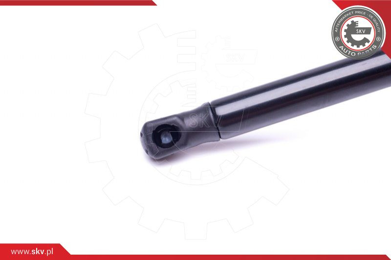 ESEN SKV Gasfeder, Koffer-/Laderaum