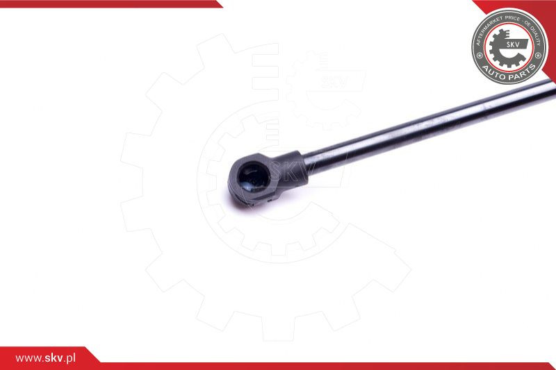 ESEN SKV Gasfeder, Koffer-/Laderaum