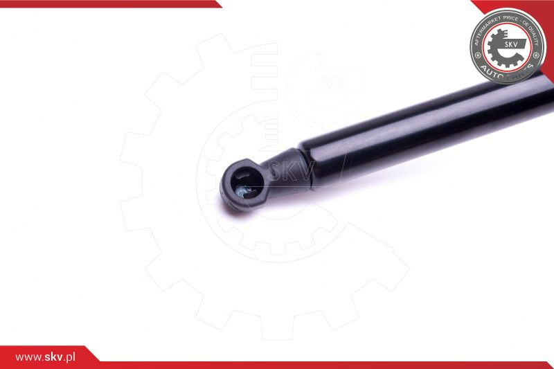 ESEN SKV Gasfeder, Koffer-/Laderaum