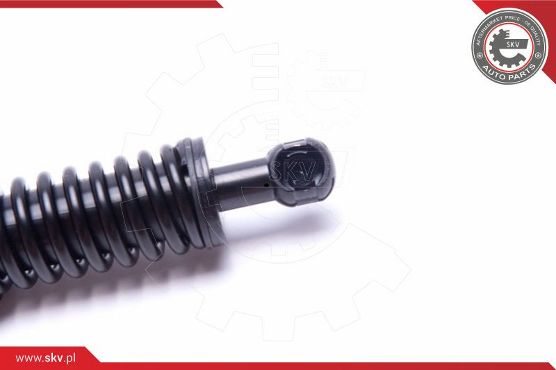 ESEN SKV Gasfeder, Koffer-/Laderaum