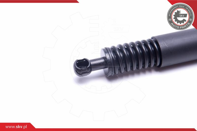 ESEN SKV Gasfeder, Koffer-/Laderaum