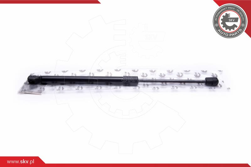 ESEN SKV Gasfeder, Koffer-/Laderaum