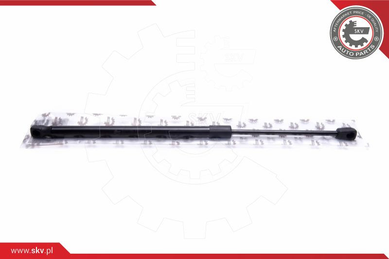 ESEN SKV Gasfeder, Koffer-/Laderaum