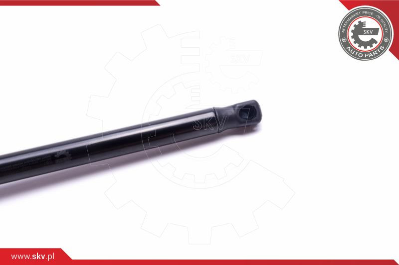 ESEN SKV Gasfeder, Koffer-/Laderaum