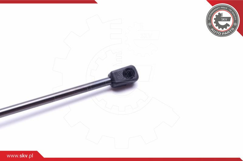 ESEN SKV Gasfeder, Koffer-/Laderaum