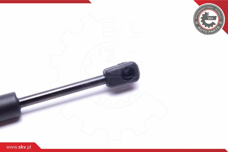 ESEN SKV Gasfeder, Koffer-/Laderaum