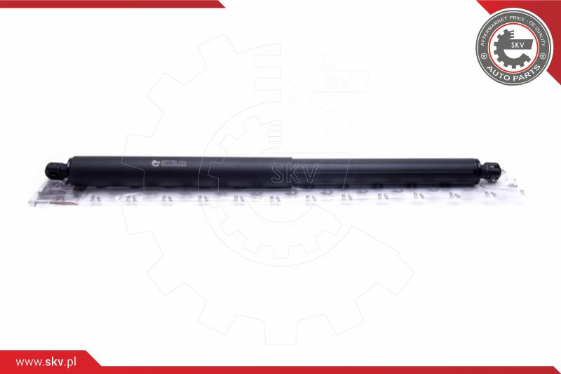 ESEN SKV Gasfeder, Koffer-/Laderaum