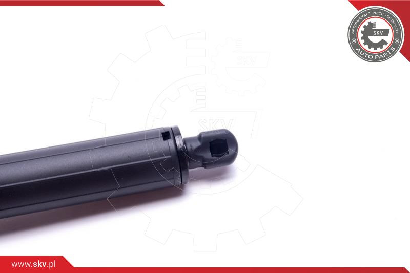 ESEN SKV Gasfeder, Koffer-/Laderaum