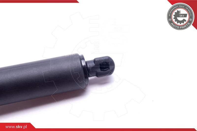 ESEN SKV Gasfeder, Koffer-/Laderaum