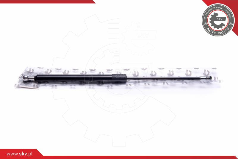 ESEN SKV Gasfeder, Koffer-/Laderaum