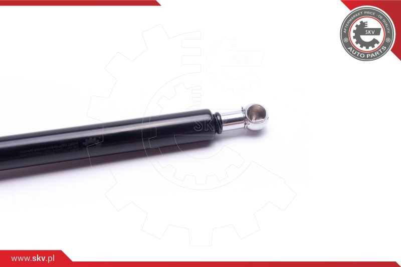 ESEN SKV Gasfeder, Koffer-/Laderaum