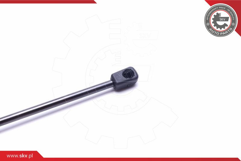 ESEN SKV Gasfeder, Koffer-/Laderaum