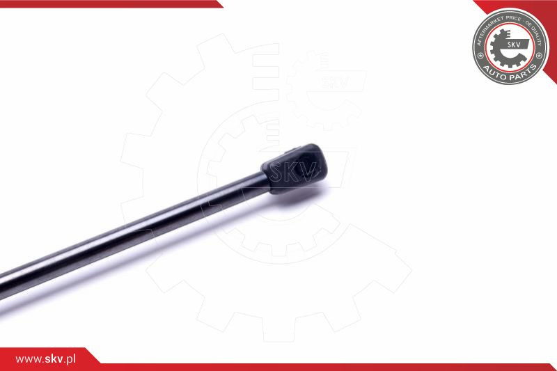 ESEN SKV Gasfeder, Koffer-/Laderaum