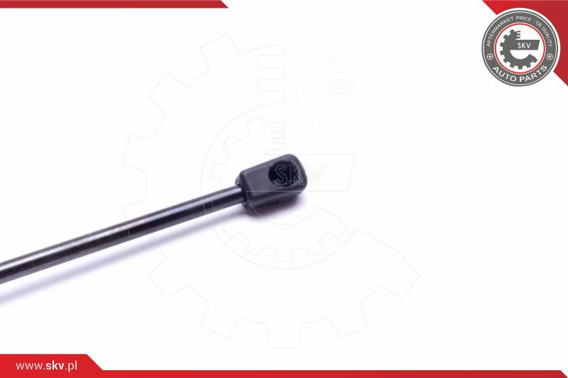 ESEN SKV Gasfeder, Koffer-/Laderaum