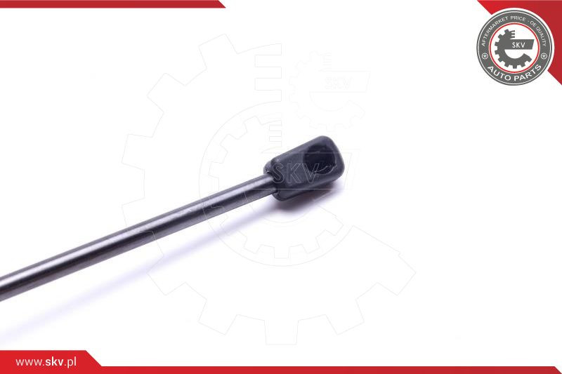 ESEN SKV Gasfeder, Koffer-/Laderaum