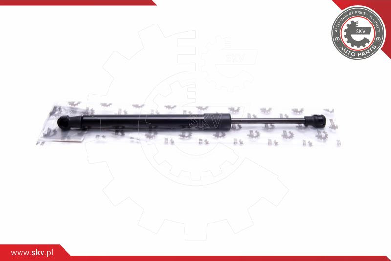 ESEN SKV Gasfeder, Koffer-/Laderaum