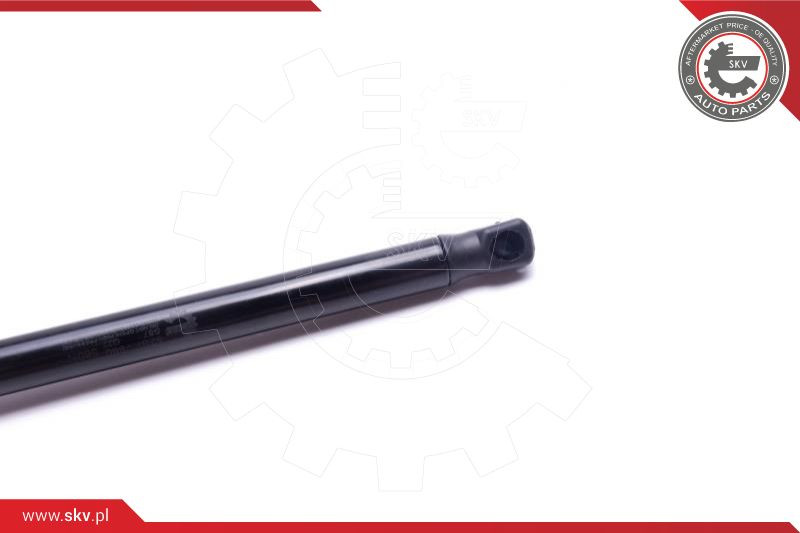 ESEN SKV Gasfeder, Koffer-/Laderaum