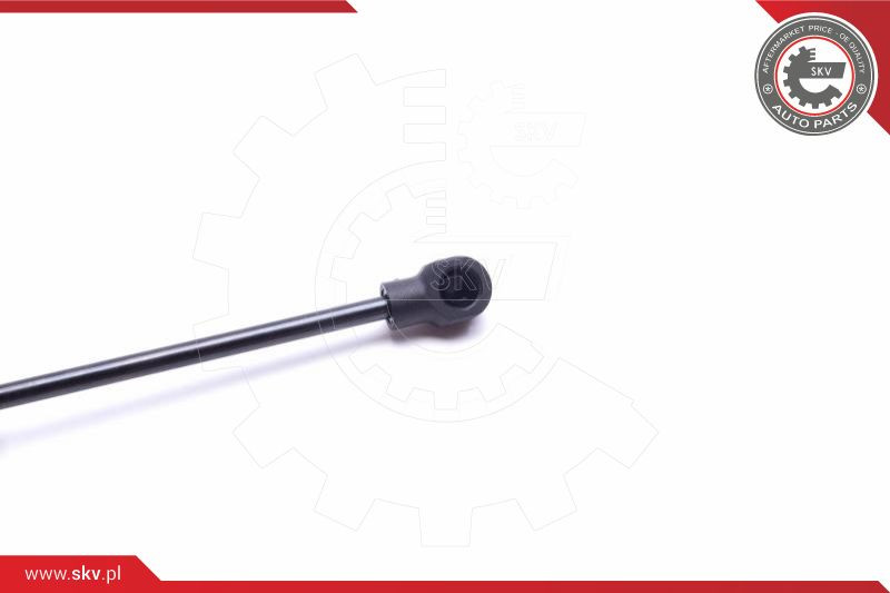 ESEN SKV Gasfeder, Koffer-/Laderaum