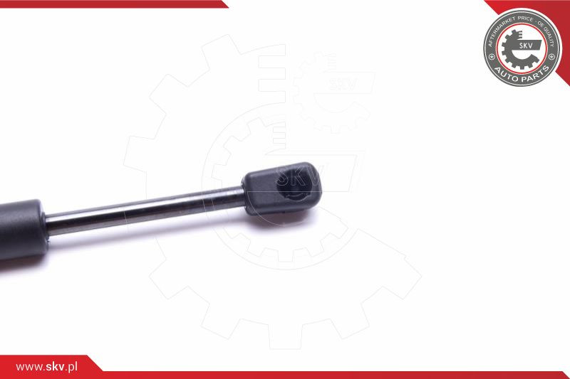 ESEN SKV Gasfeder, Koffer-/Laderaum