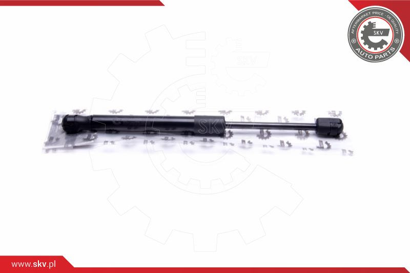 ESEN SKV Gasfeder, Koffer-/Laderaum