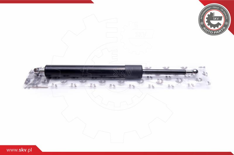 ESEN SKV Gasfeder, Koffer-/Laderaum